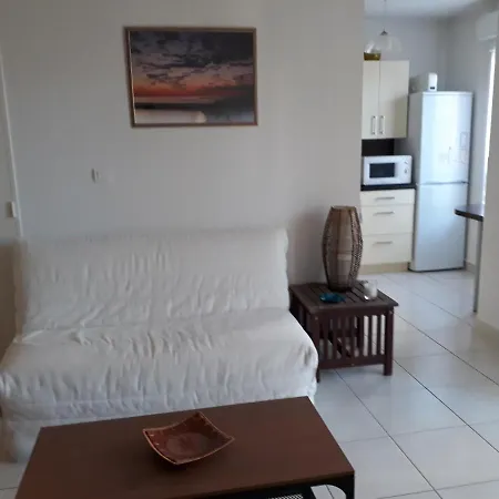 Climatise Dans Avec Piscine Et Garage Apartament Fréjus